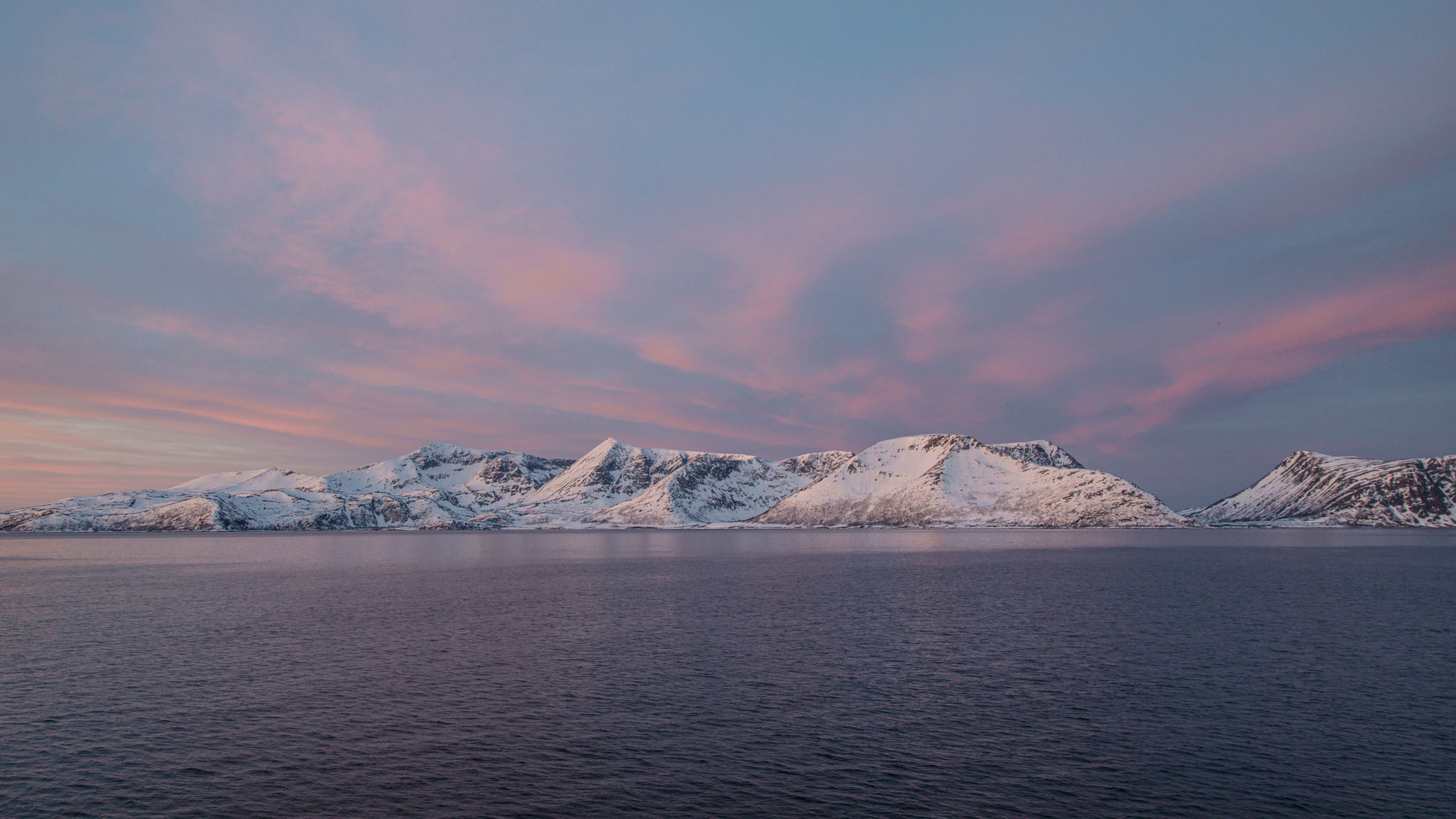 Lorsque l'équipe atteint le point le plus septentrional de son expédition, elle fait demi-tour et se dirige à nouveau vers le sud. Le 17 janvier, ils aperçoivent une terre : les fjords du nord de la Norvège. Ici, le soleil n'est pas encore revenu à l'horizon, mais il le sera bientôt. Le retour du crépuscule est néanmoins un spectacle réjouissant pour les scientifiques qui ont passé les dix derniers jours dans une obscurité presque totale. (Photo : Michael O. Snyder)