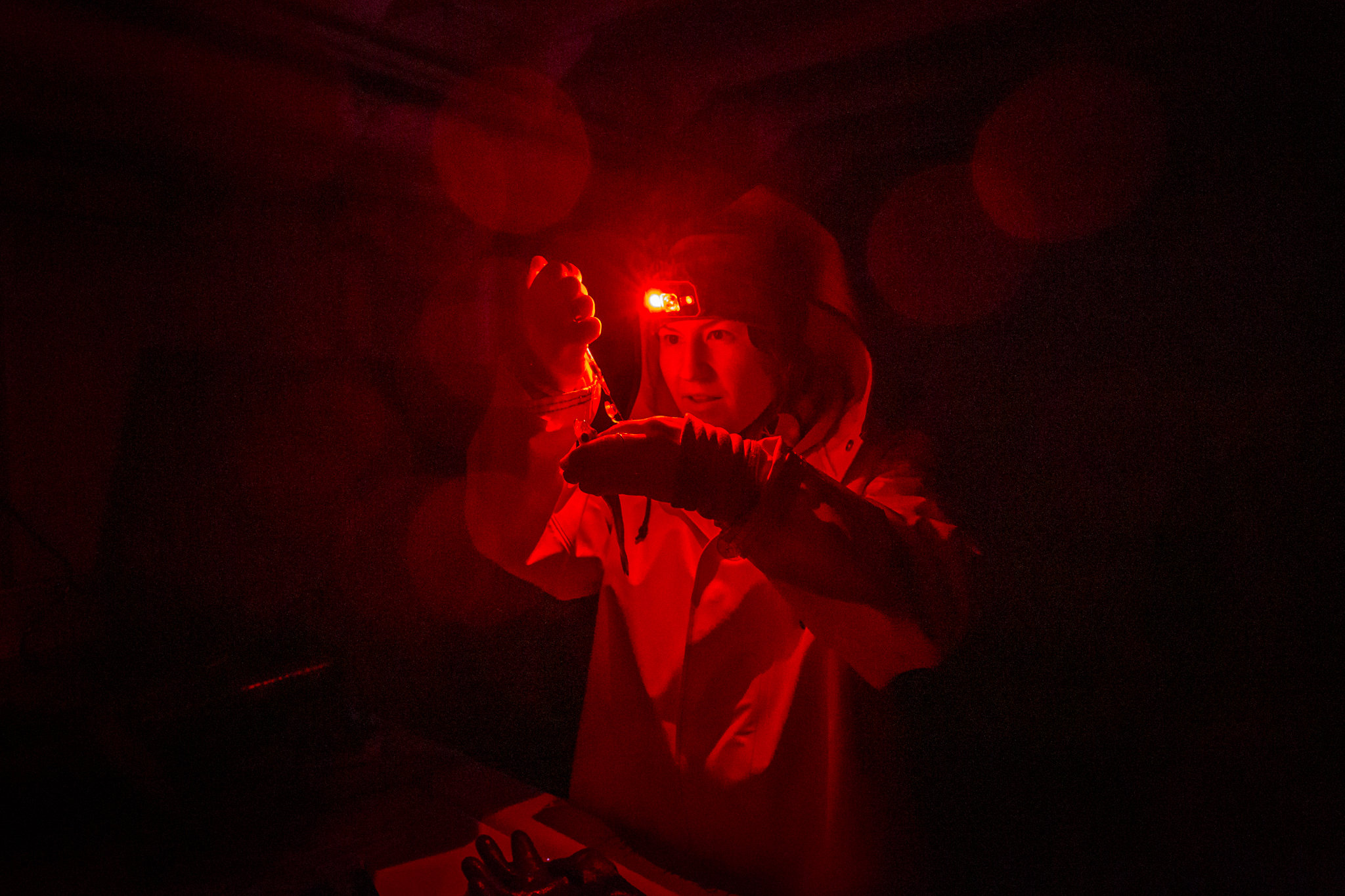 La chercheuse Morgan Bender utilise une seringue pour prélever du sang sur deux morues polaires. Elle ne doit travailler qu'avec une faible lumière rouge afin de ne pas perturber les recherches en cours sur la pollution lumineuse. (Photo : Michael O. Snyder)