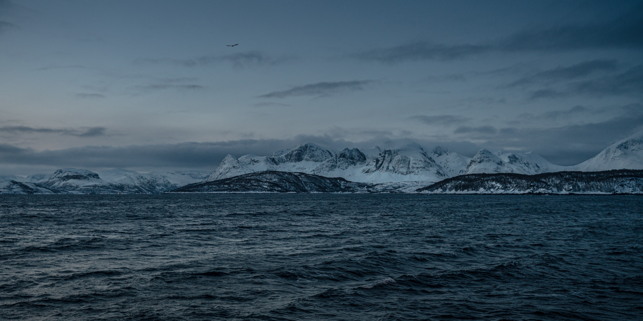 Les montagnes enneigées dans les fjords du nord de la Norvège.C'est la dernière fois que l'équipe voit la terre avant de prendre la mer pendant près de deux semaines.(Photo : Michael O. Snyder) les montagnes enneigées dans les fjords du nord de la Norvège