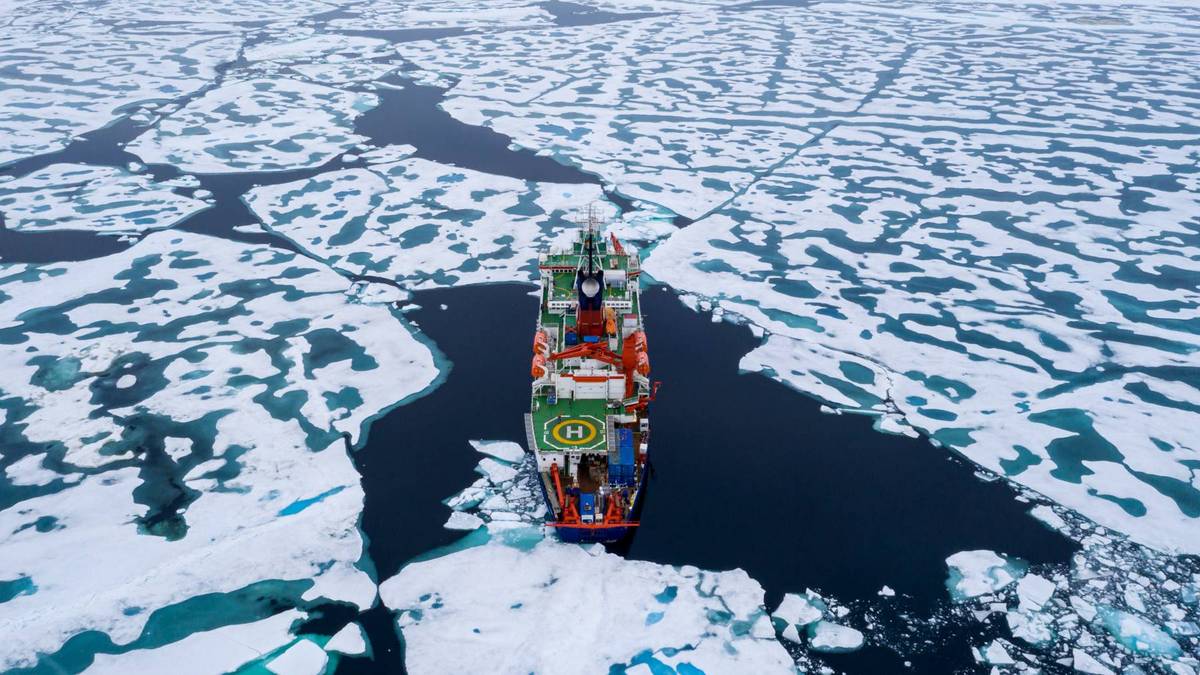 2020 Arctique 2020 Arctique