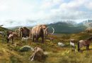 Mammouths et chevaux anciens ont disparu du nord du continent plus tard qu’on le croit