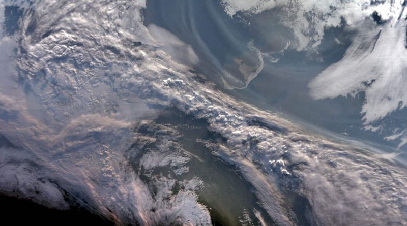 Les feux de forêt dans le Nord favoriseraient la croissance du phytoplancton dans l’océan Arctique