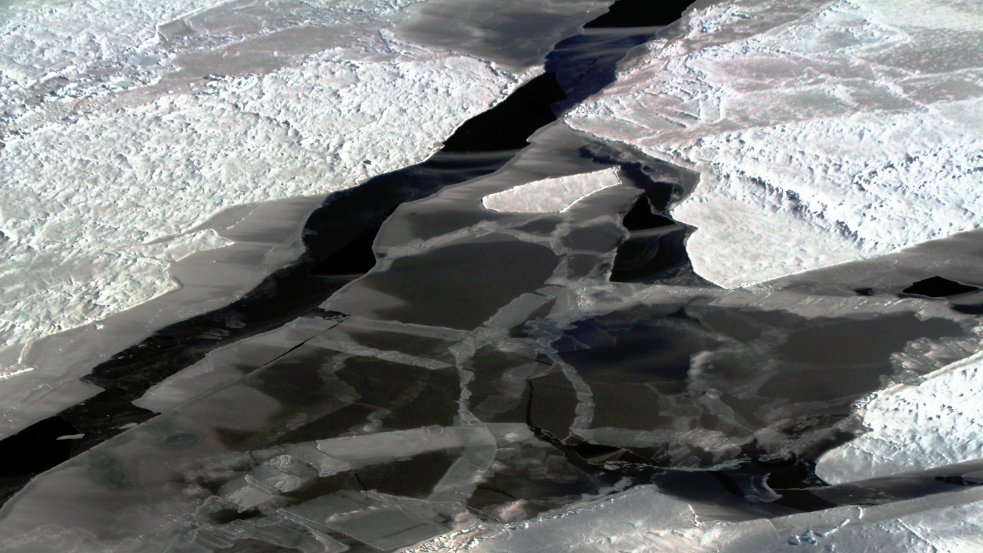 Phytoplankton are thought to be abundant under Antarctic sea ice – eye on the Arctic