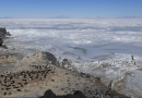 Antarctique : les courants océaniques profonds ralentissent plus tôt que prévu, selon une étude