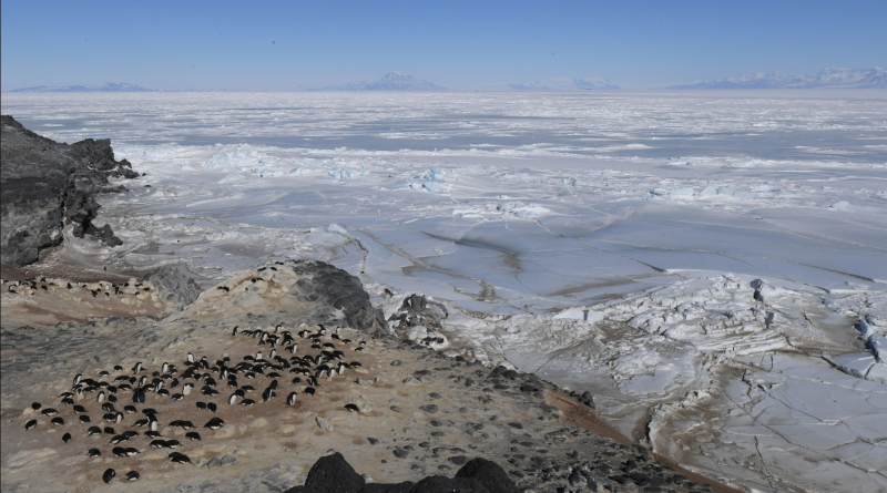 Antarctique: les courants océaniques profonds ralentissent plus tôt que prévu, selon une étude