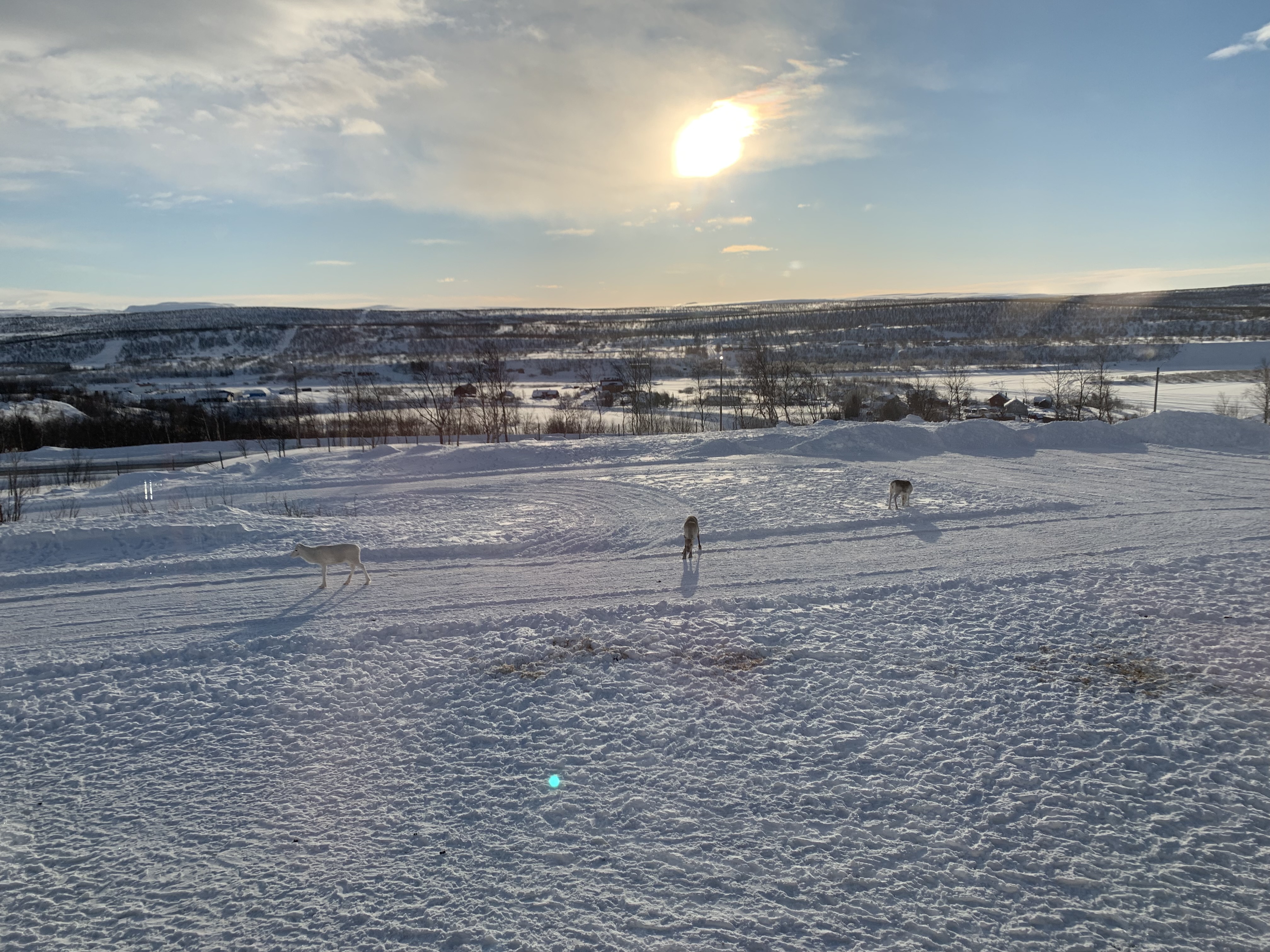 Un paysage de Kautokeino/Guovdageaidnu, Norvège. (Photo : Eilís Quinn, Regard sur l’Arctique)