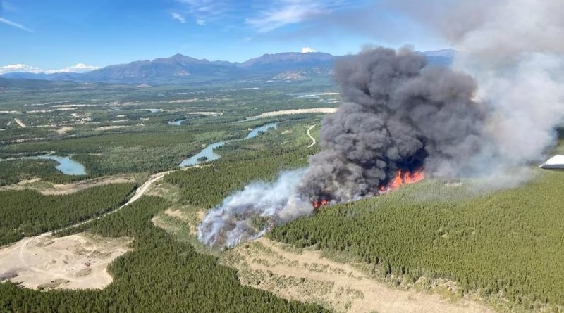 L'incendie d'Ibex Valley a parcouru 1546 hectares en une semaine. (Photo : Gouvernement du Yukon)