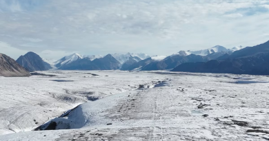 Un paysage arctique avec de la glace