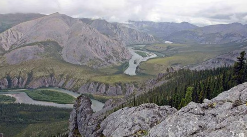 Un nouveau parc national proposé dans le bassin versant de la rivière Peel, au Yukon