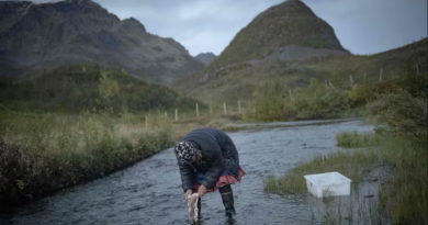 Une bergère samie, à Reinfjord, dans le nord de la Norvège, en 2023.
