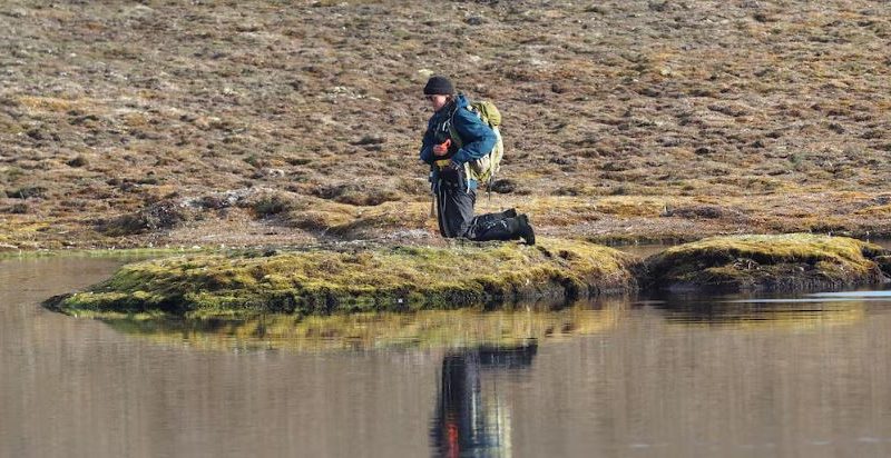 Une jeune chercheuse est agenouillée sur la toundra pour récolter des échantillons.