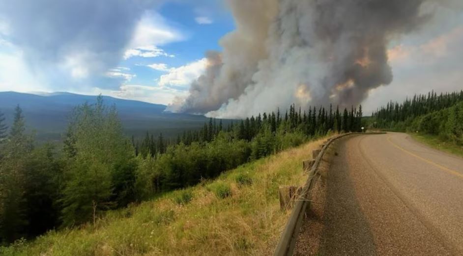 Image d'unr route avec un feu au loin dans la forêt.