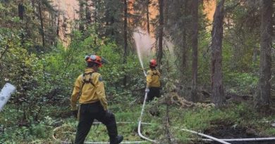 Deux pompiers travaillent dans une forêt qui brûle, en juillet 2024, près de Behchokǫ̀, aux Territoires du Nord-Ouest.
