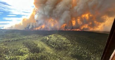 Un feu dans une forêt
