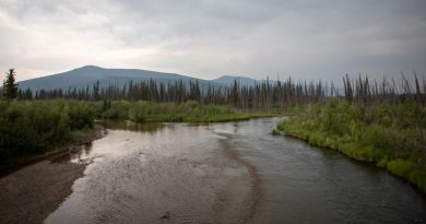 Un ruisseau devant des montagnes.