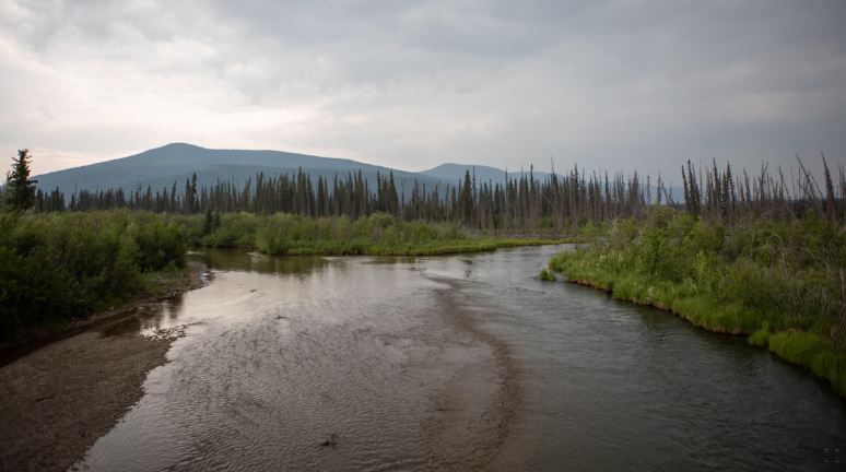 Un ruisseau devant des montagnes.