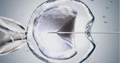 Illustration d'une image au microscope d'une fécondation in vitro.