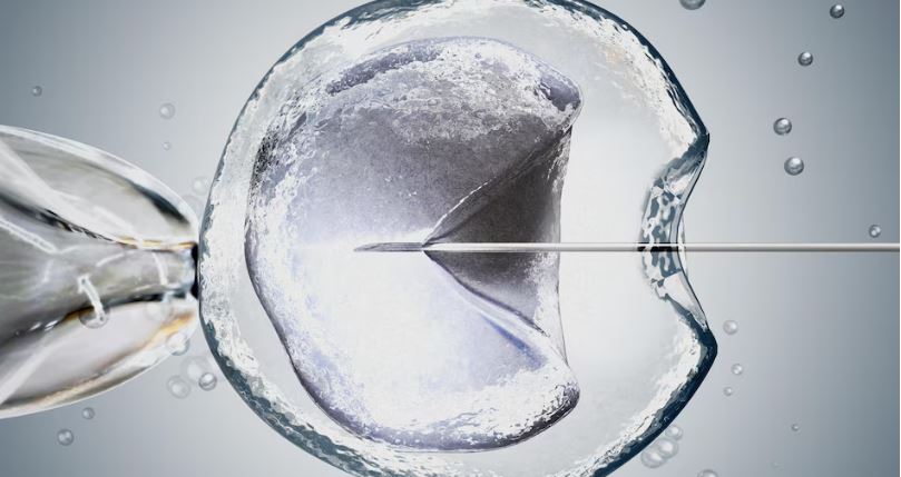 Illustration d'une image au microscope d'une fécondation in vitro.