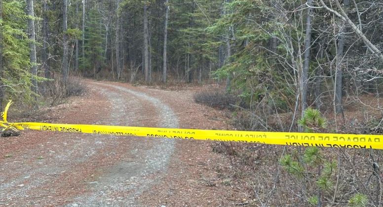 Du ruban policier bloque l'accès à une entrée dans les bois, le 7 octobre.