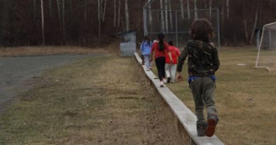 Des enfants de dos qui marchent en équilibre sur un muret.