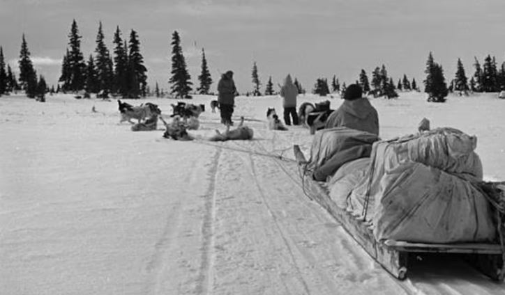 Le caporal Jim Davies de la GRC et des guides inuits voyageant en komatik (traîneau à chiens) de l'île Moose Factory, en Ontario, jusqu'à Kuujjuarapik, au Québec, en janvier 1946.