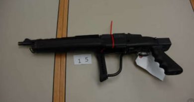 Une arme à feu.