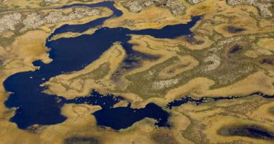 Vue aérienne de milieux humides dans la toundra arctique en Sibérie.