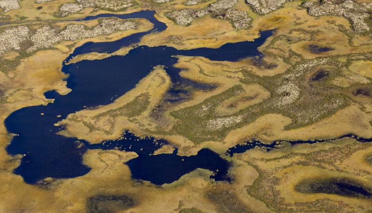 Vue aérienne de milieux humides dans la toundra arctique en Sibérie.