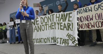 Une femme prononce un discours avec un micro à la main devant une foule qui brandit des pancartes avec comme slogan : "On ne peut pas perdre une autre année".