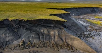 Un littoral arctique.