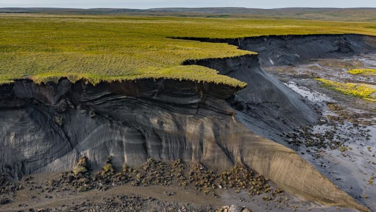 Un littoral arctique.