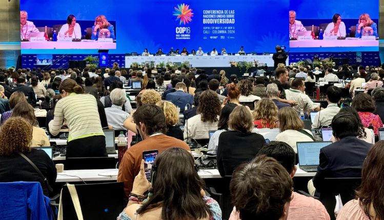 Plan large d'une grande salle où sont assises des dizaines de personnes devant un grand écran.