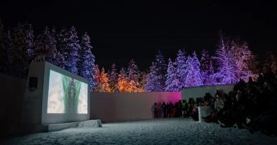 Des gens sont rassemblés devant une projection et des arbres colorés.