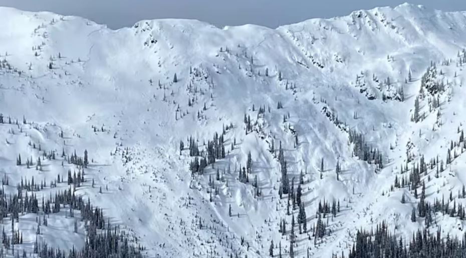 Flanc de montagne présentant un risque d'avalanche.