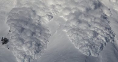 Deux coulées de neige tourbillonnantes déboulent sur un flanc de montagne.