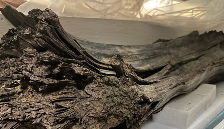 Un morceau de bois très ancien entreposé dans une boîte en bois, le 25 mars 2025.