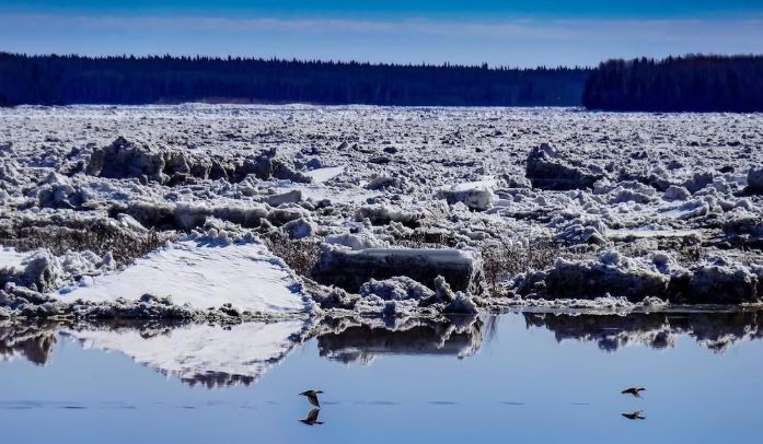 Plan large de la glace accumulée sur le fleuve Mackenzie.