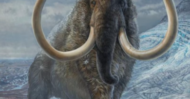 Illustration d'un mammouth laineux mâle adulte dans un col de montagne en Alaska arctique.