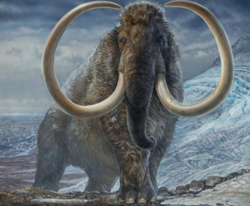 Illustration d'un mammouth laineux mâle adulte dans un col de montagne en Alaska arctique.