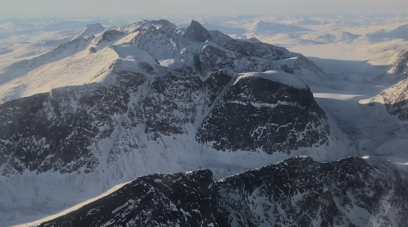 Un ours polaire abattu après qu’un skieur a été attaqué