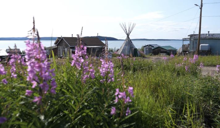 Des maisons et un tipi de Lutsël K’e derrière un banc de fleurs.