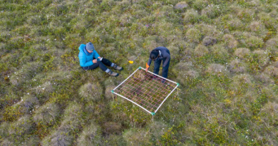 Au beau milieu d'une étendue herbeuse, une personne consulte une tablette électronique tandis qu'une autre personne se penche sur une structure quadrillée qui surplombe la végétation.