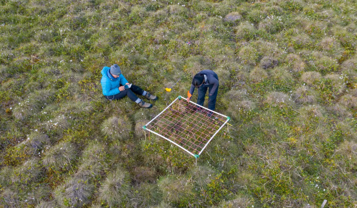 Au beau milieu d'une étendue herbeuse, une personne consulte une tablette électronique tandis qu'une autre personne se penche sur une structure quadrillée qui surplombe la végétation.