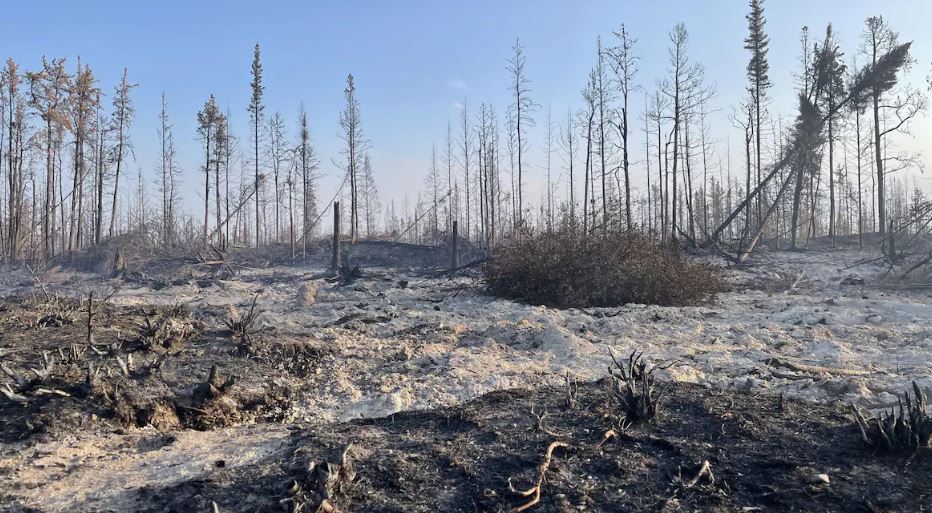 De la fumée s'échappe du sol après le feu de forêt à Hay River, le 20 septembre 2023.