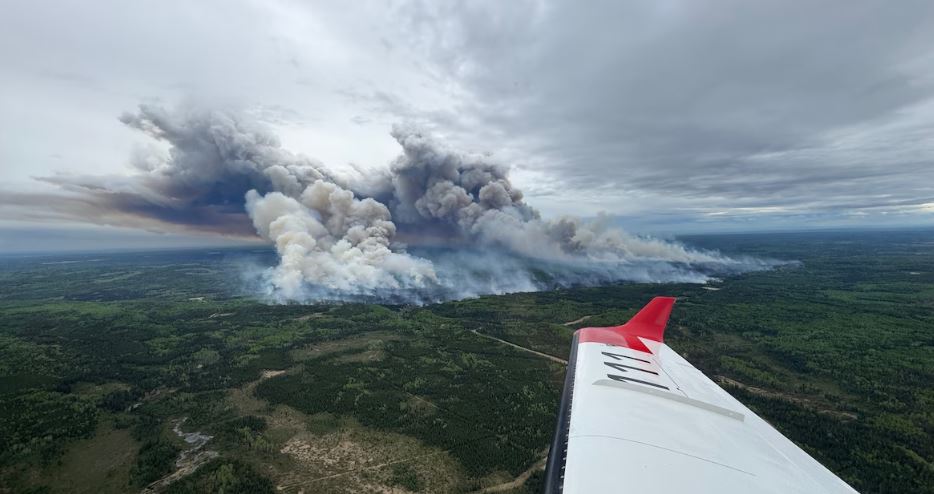 Plan aérien d'un feu de forêt.