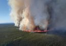 Un feu de forêt aperçu du haut des airs.