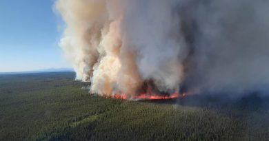 Un feu de forêt aperçu du haut des airs.