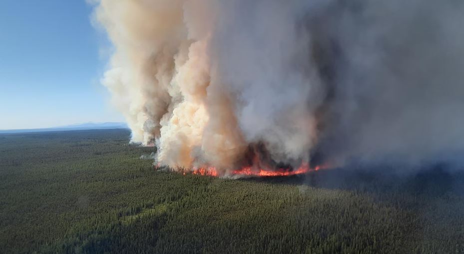 Un feu de forêt aperçu du haut des airs.