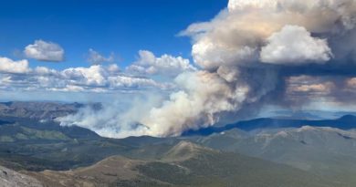 Un incendie de forêt brûle et crée d'énormes colonnes de fumées.