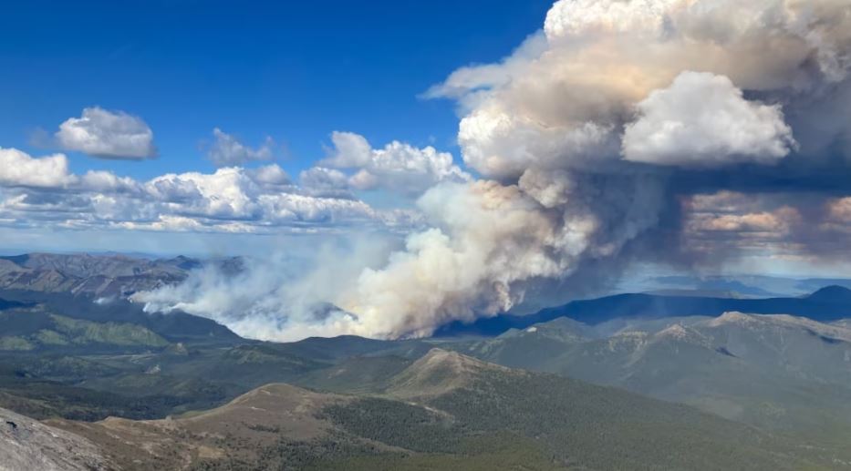 Un incendie de forêt brûle et crée d'énormes colonnes de fumées.